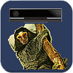 Behavior analysis of primates